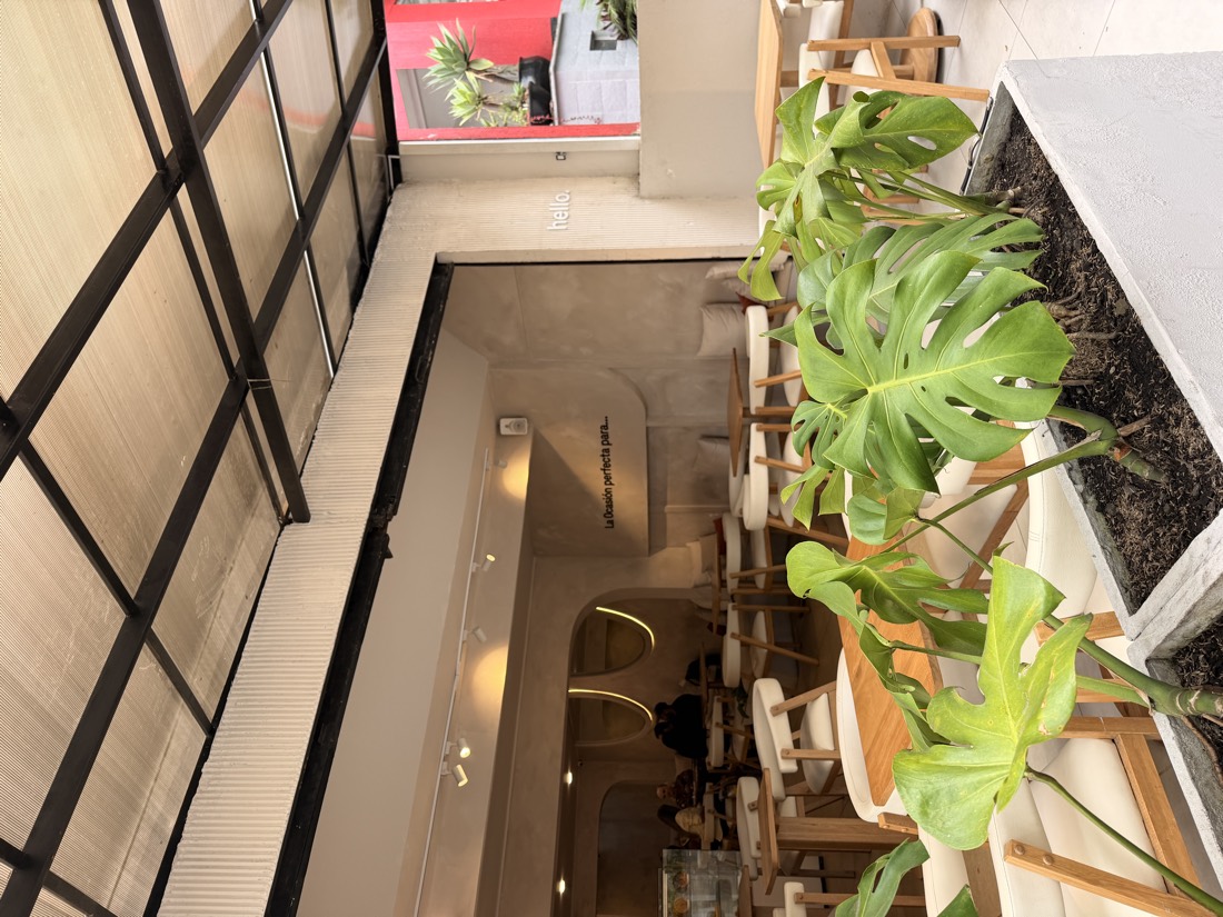 Interior cálido de La Ocasión con sillas blancas, madera y plantas